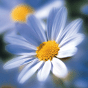 Подмосковный ландшафтный дизайн без потерь