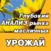 Отраслевой Бизнес-справочник АПК-Информ «Масличные»