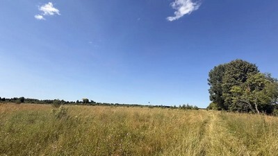 Земельный участок 89,3140 Га вблизи дер. Большое Плутково Калязинского района Тверской области