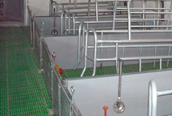 Щелевые полы пластиковые для поросят