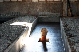 Самосплавная система навозоудаления в свинарниках