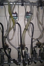 Доильный аппарат для коров. Пульсаторы доильного аппарата