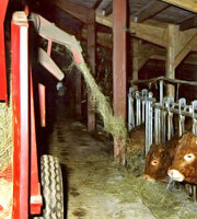 Измельчители-разбрасытаватели соломы, сена