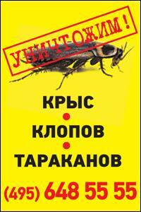 Постельный клоп - главный враг городских жителей. Избавим!