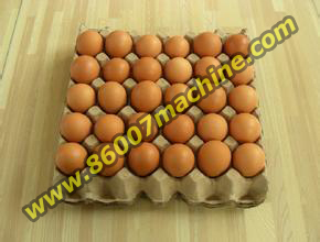 Оборудование для производства яичных лотков
