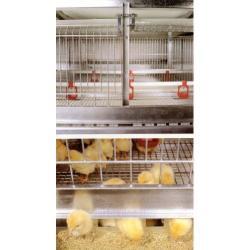 Комплекты оборудования для содержания птицы