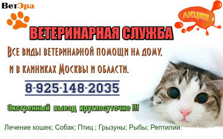 Ветеринарная помощь на дому и в клиниках. Вызов (выезд) ветеринара на дом от 500р. По Москве и области