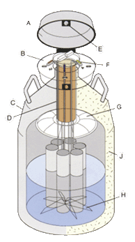Сосуды дьюара Chart MVE XC/34 USA 34л