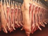 Полутуши свинина/говядина от производителя
