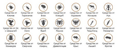 МосДезСпецТорг – интернет-магазин средств от насекомых и грызунов.