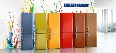 Квалифицированный, недорогой и оперативный ремонт холодильников «Liebherr»