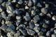 Каменный уголь, топливный угольный брикет,  Россия