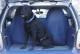Накидки (защитные чехлы) для перевоза собак в автомобиле в С.Петербурге