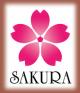 Сакура 2015 и японские глицинии на майские праздники. Фудзи Трэвел